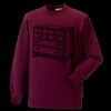 Kids raglan sleeve sweatshirt Thumbnail