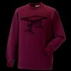 Kids raglan sleeve sweatshirt Thumbnail