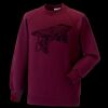 Kids raglan sleeve sweatshirt Thumbnail