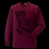 Kids raglan sleeve sweatshirt Thumbnail