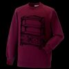 Kids raglan sleeve sweatshirt Thumbnail
