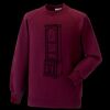 Kids raglan sleeve sweatshirt Thumbnail