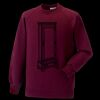 Kids raglan sleeve sweatshirt Thumbnail