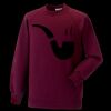 Kids raglan sleeve sweatshirt Thumbnail
