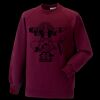 Kids raglan sleeve sweatshirt Thumbnail