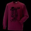 Kids raglan sleeve sweatshirt Thumbnail