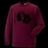 Kids raglan sleeve sweatshirt Thumbnail