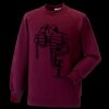 Kids raglan sleeve sweatshirt Thumbnail