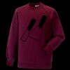 Kids raglan sleeve sweatshirt Thumbnail