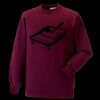 Kids raglan sleeve sweatshirt Thumbnail