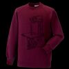 Kids raglan sleeve sweatshirt Thumbnail