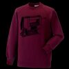 Kids raglan sleeve sweatshirt Thumbnail
