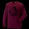Kids raglan sleeve sweatshirt Thumbnail