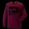 Kids raglan sleeve sweatshirt Thumbnail