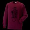 Kids raglan sleeve sweatshirt Thumbnail