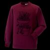 Kids raglan sleeve sweatshirt Thumbnail