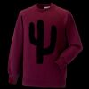 Kids raglan sleeve sweatshirt Thumbnail