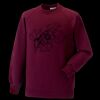 Kids raglan sleeve sweatshirt Thumbnail