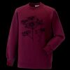 Kids raglan sleeve sweatshirt Thumbnail