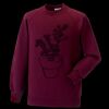 Kids raglan sleeve sweatshirt Thumbnail