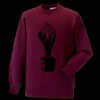 Kids raglan sleeve sweatshirt Thumbnail