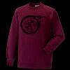 Kids raglan sleeve sweatshirt Thumbnail