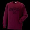 Kids raglan sleeve sweatshirt Thumbnail