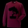 Kids raglan sleeve sweatshirt Thumbnail