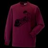 Kids raglan sleeve sweatshirt Thumbnail