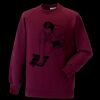 Kids raglan sleeve sweatshirt Thumbnail
