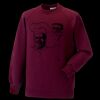 Kids raglan sleeve sweatshirt Thumbnail