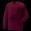 Kids raglan sleeve sweatshirt Thumbnail