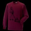 Kids raglan sleeve sweatshirt Thumbnail