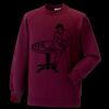 Kids raglan sleeve sweatshirt Thumbnail