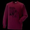 Kids raglan sleeve sweatshirt Thumbnail