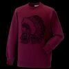 Kids raglan sleeve sweatshirt Thumbnail