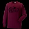 Kids raglan sleeve sweatshirt Thumbnail