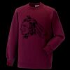 Kids raglan sleeve sweatshirt Thumbnail