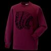 Kids raglan sleeve sweatshirt Thumbnail