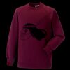 Kids raglan sleeve sweatshirt Thumbnail
