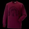 Kids raglan sleeve sweatshirt Thumbnail
