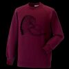 Kids raglan sleeve sweatshirt Thumbnail