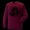 Kids raglan sleeve sweatshirt Thumbnail