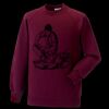 Kids raglan sleeve sweatshirt Thumbnail