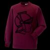 Kids raglan sleeve sweatshirt Thumbnail