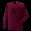 Kids raglan sleeve sweatshirt Thumbnail