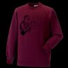 Kids raglan sleeve sweatshirt Thumbnail