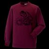 Kids raglan sleeve sweatshirt Thumbnail