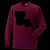 Kids raglan sleeve sweatshirt Thumbnail