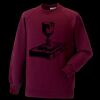 Kids raglan sleeve sweatshirt Thumbnail
